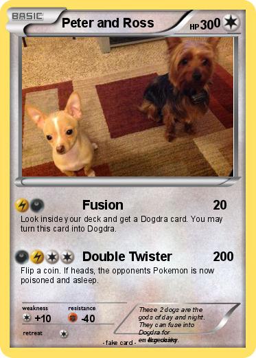 Pokemon Peter and Ross                 0