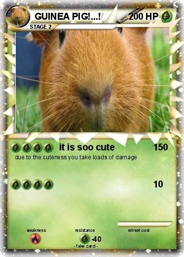 Pokemon GUINEA PIG!...!
