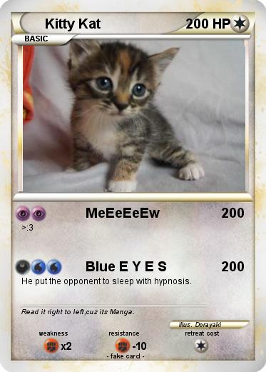 Pokemon Kitty Kat