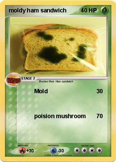 Pokemon moldy ham sandwich