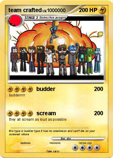 Pokemon team crafted