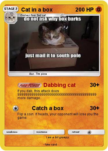 Pokemon Cat in a box