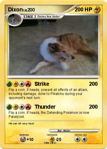 Pokemon Dixon