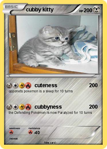 Pokemon cubby kitty