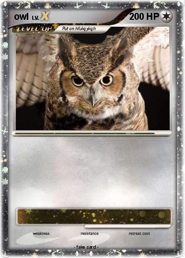 Pokemon owl