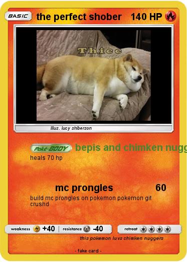 Pokemon the perfect shober