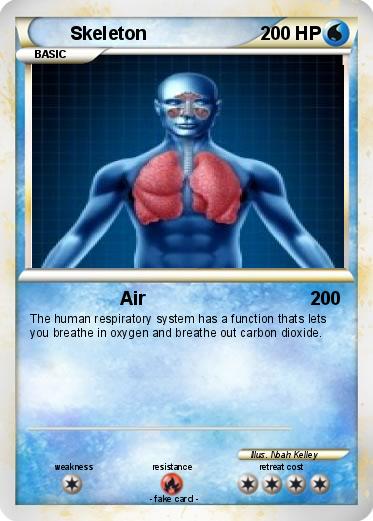 Pokemon Skeleton