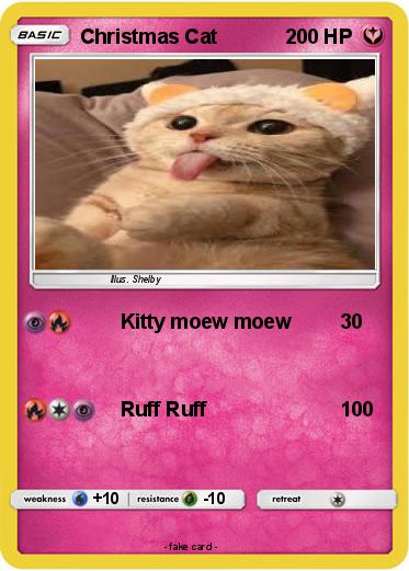 Pokemon Christmas Cat