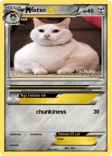 Pokemon fatso