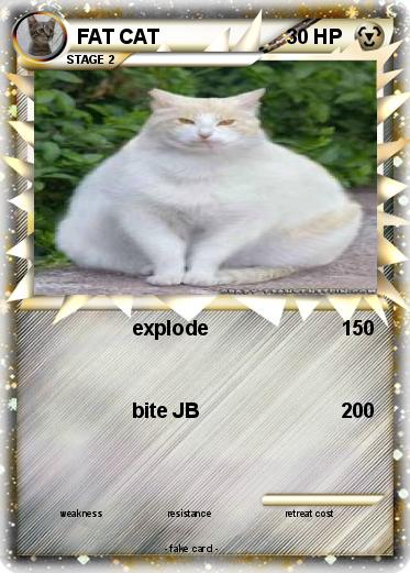 Pokemon FAT CAT