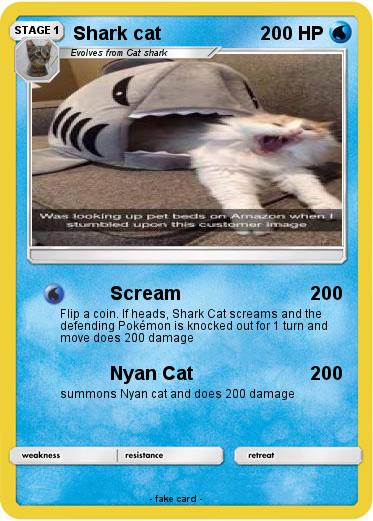 Pokemon Shark cat