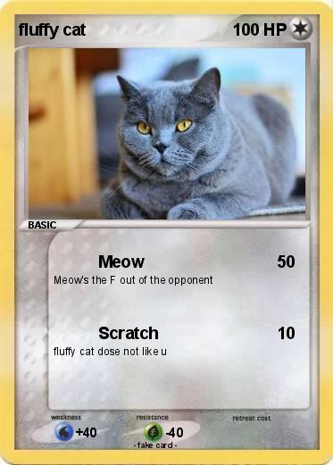 Pokemon fluffy cat