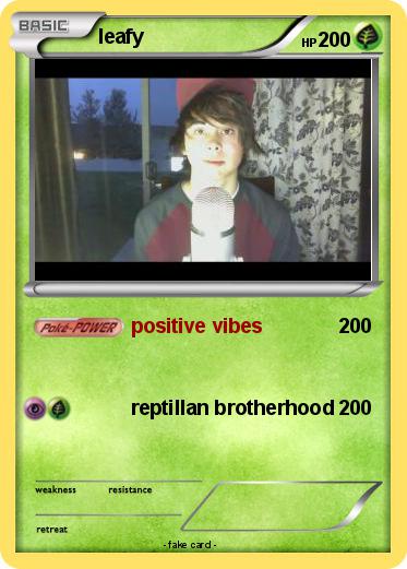 Pokemon leafy