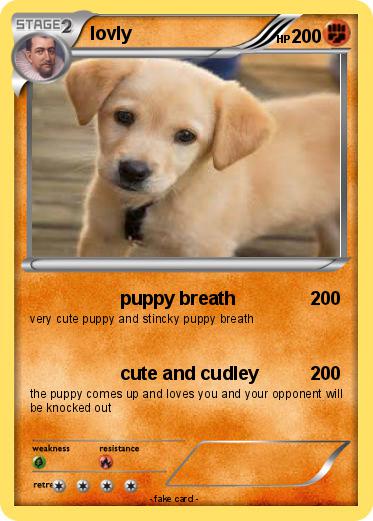 Pokemon lovly