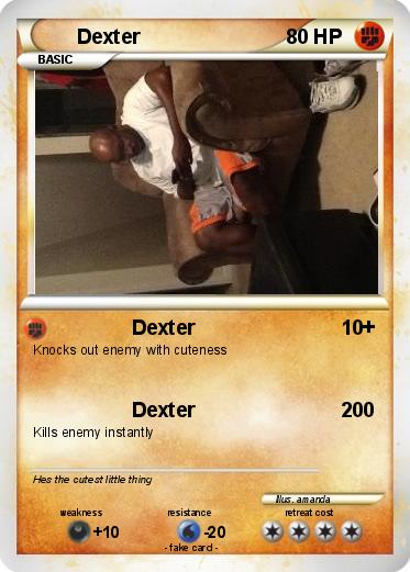 Pokemon Dexter