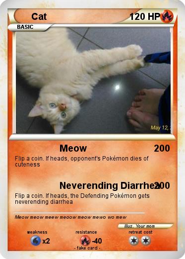 Pokemon Cat