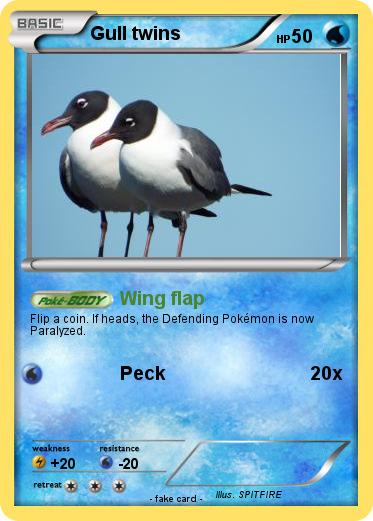 Pokemon Gull twins