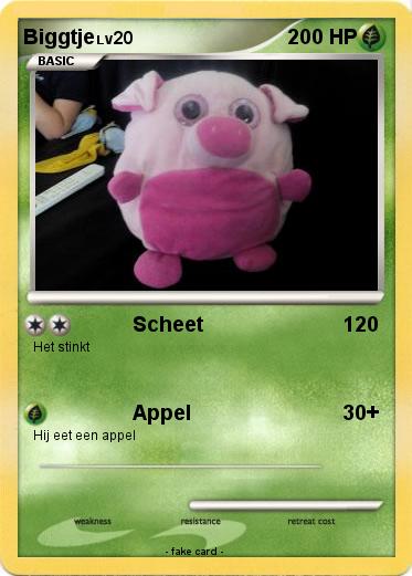 Pokemon Biggtje