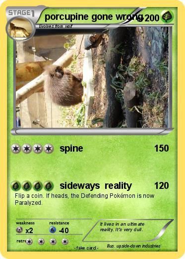 Pokemon porcupine gone wrong
