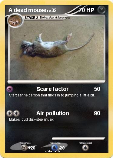 Pokemon A dead mouse