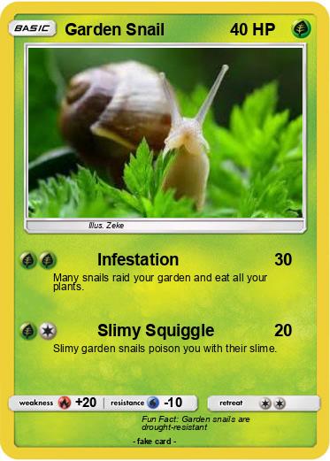 Pokemon Garden Snail