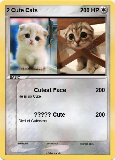 Pokemon 2 Cute Cats