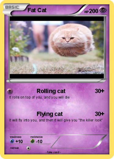 Pokemon Fat Cat