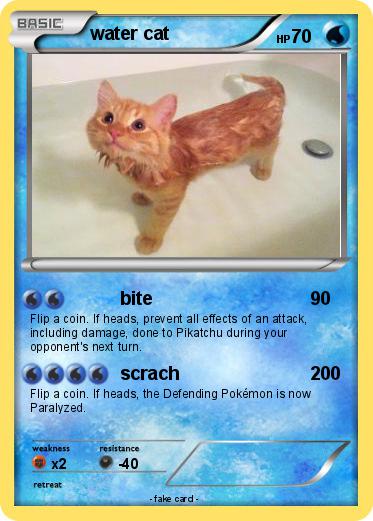 Pokemon water cat