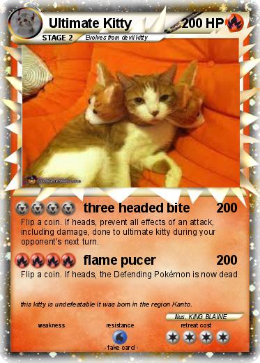 Pokemon Ultimate Kitty