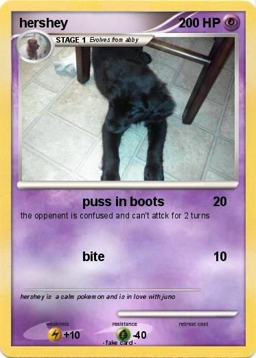 Pokemon hershey