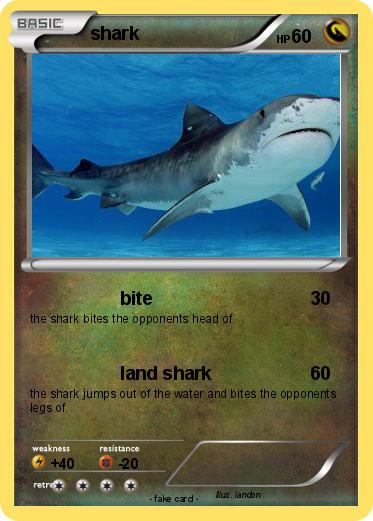 Pokemon shark