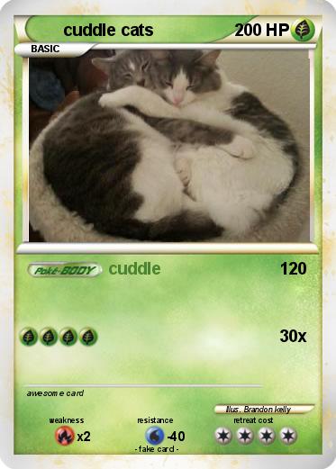 Pokemon cuddle cats