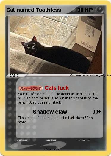 Pokemon Cat named Toothless