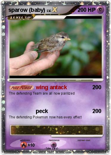 Pokemon sparow (baby)