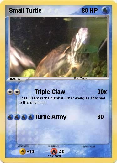 Pokemon Small Turtle