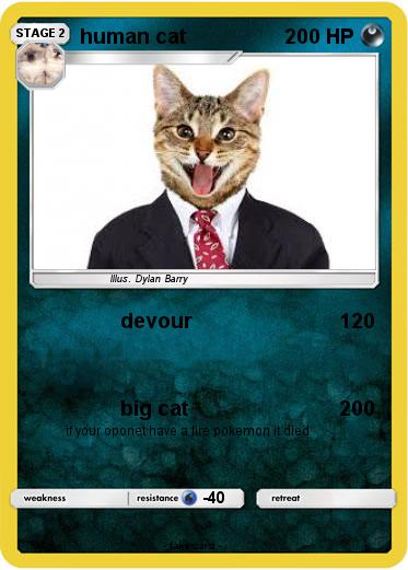 Pokemon human cat