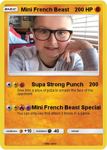Pokemon Mini French Beast