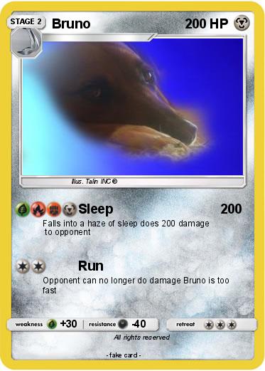 Pokemon Bruno