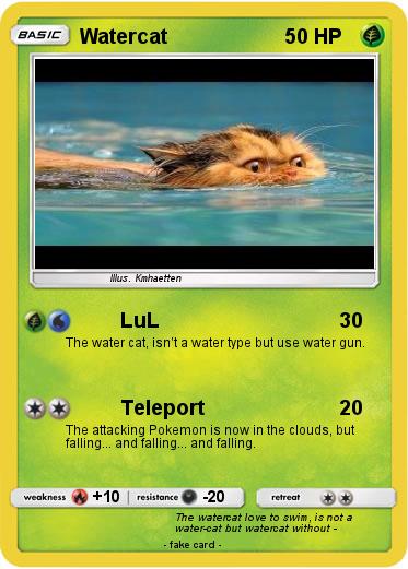 Pokemon Watercat