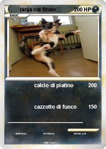 Pokemon ninja cat finale回