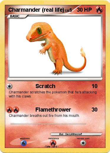 Pokemon Charmander (real life)