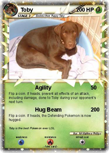 Pokemon Toby