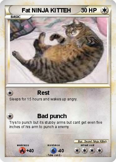 Pokemon Fat NINJA KITTEH