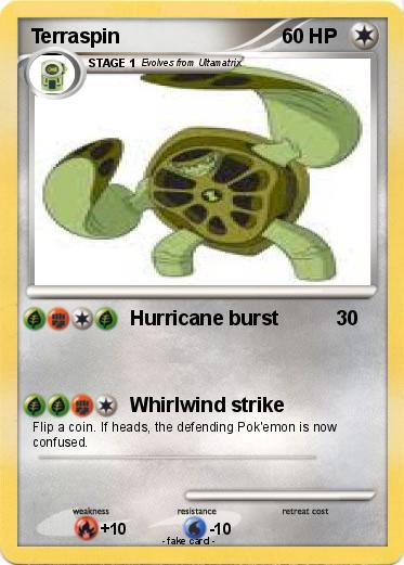 Pokemon Terraspin