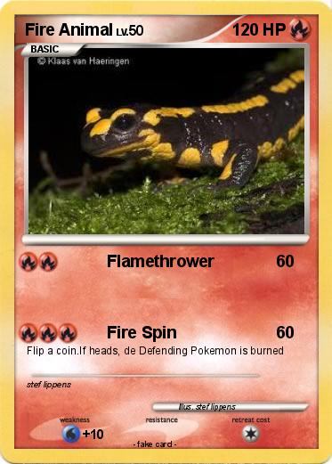 Pokemon Fire Animal