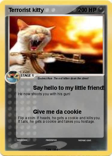 Pokemon Terrorist kitty