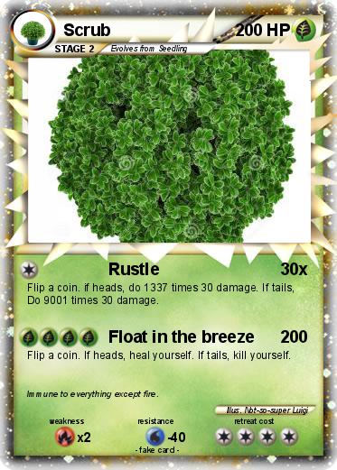 Pokemon Scrub