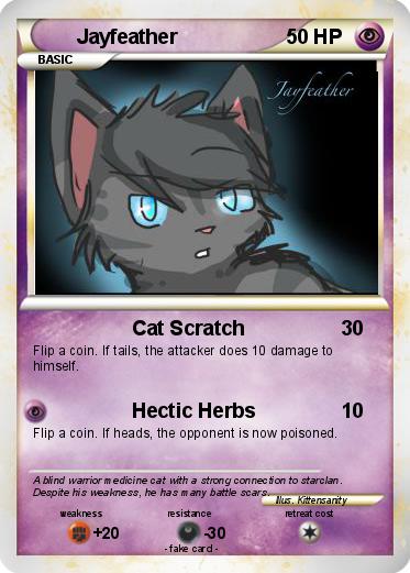 Pokemon Jayfeather