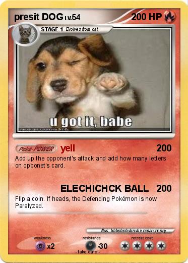 Pokemon presit DOG