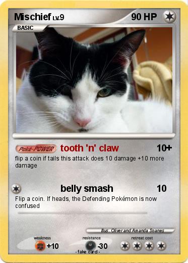 Pokemon Mischief